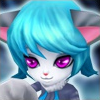 Martial Cat